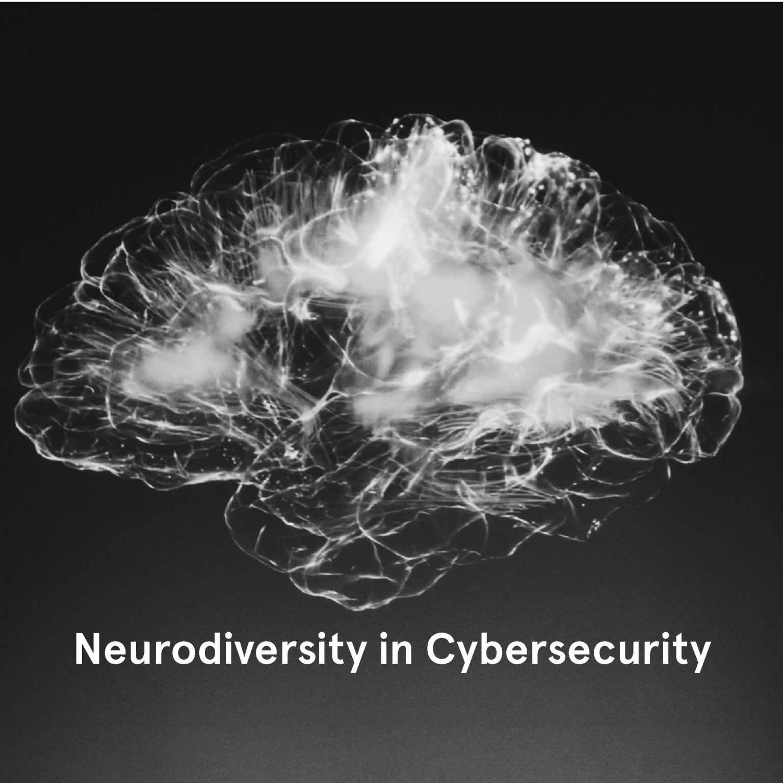 Neurodiversity in Cybersecurity